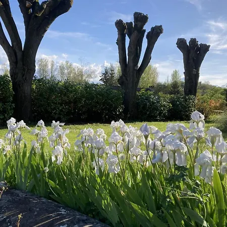 Charme D'antan Avec Jardin Clos Pres De Vichy - Fr-1-489-533 Hétvégi ház