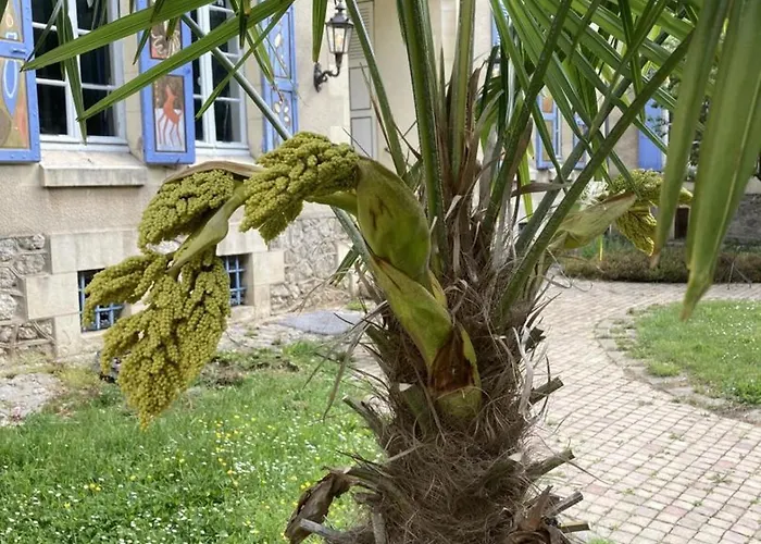 Charme D'antan Avec Jardin Clos Pres De Vichy - Fr-1-489-533 *